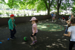 DSC04201