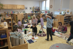 IMG_20250128_101917206